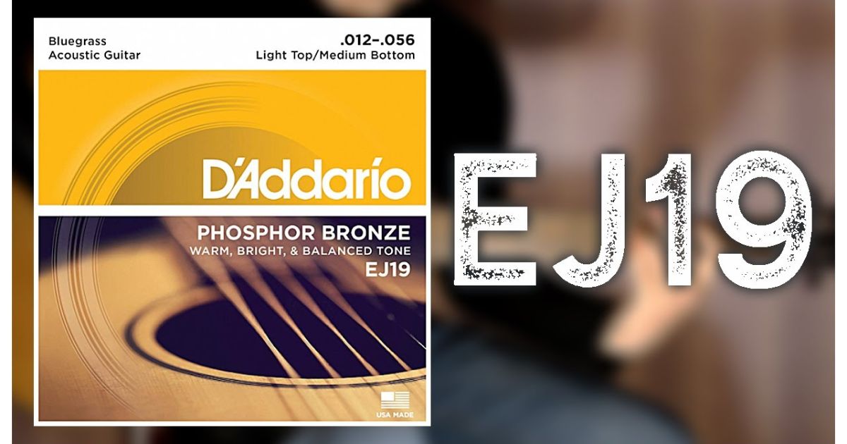 Best Budget-Friendly: D'Addario EJ16 Phosphor Bronze