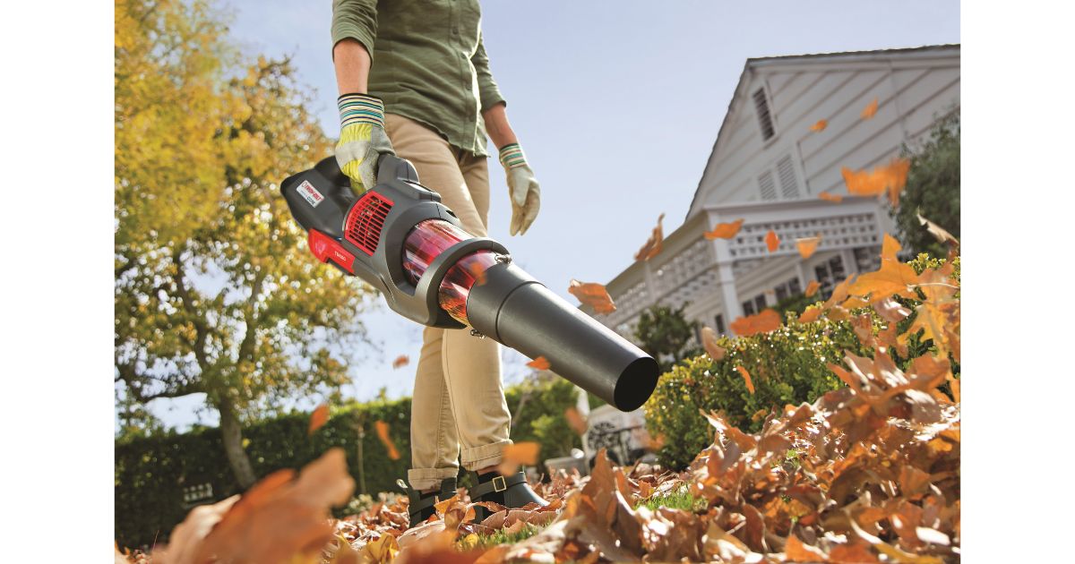 Avoid Using a Leaf Blower